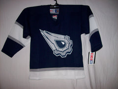 Phoenix Arizona Coyotes Retro White 4100 CCM Toddler Jersey - Hockey Jersey  Outlet